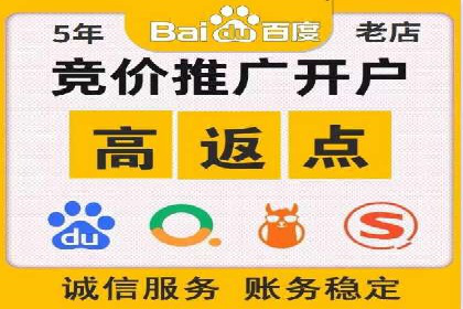 某电商平台SEM竞价广告的转化率提升案例